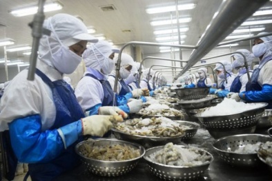 Đà Nẵng: Hỗ trợ doanh nghiệp nâng cao năng suất chất lượng hàng hóa